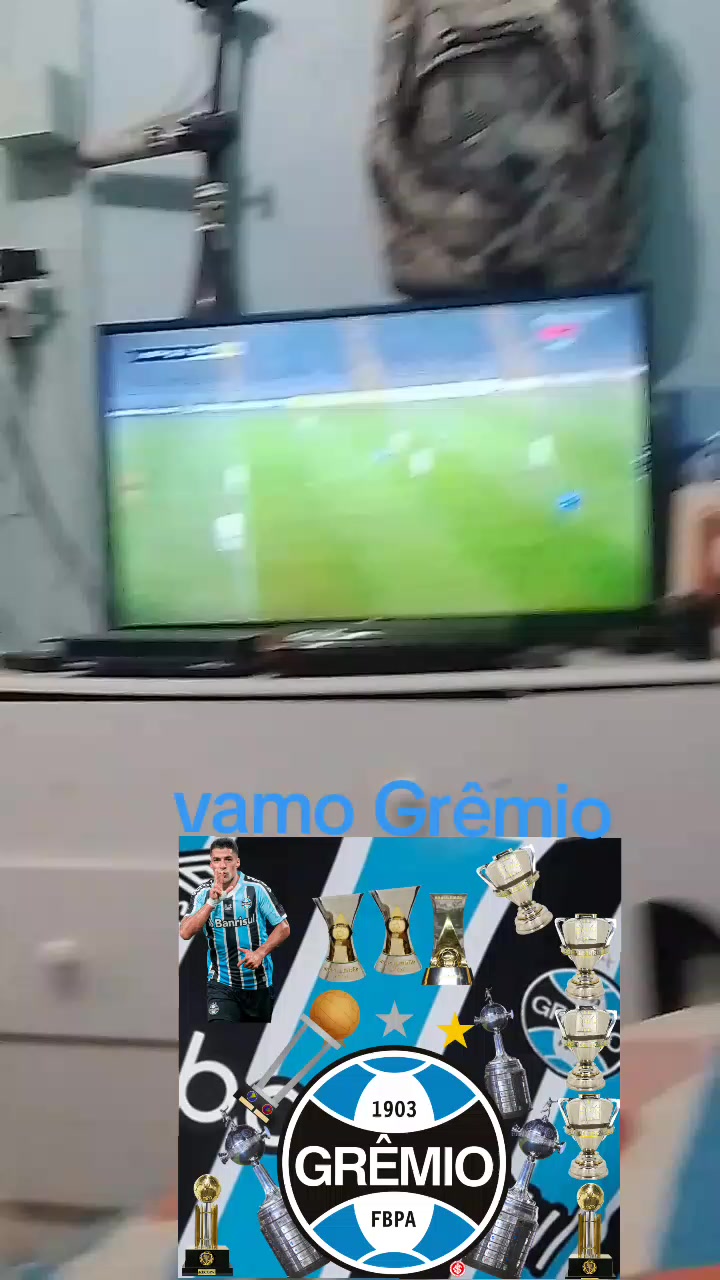 @f&atilde; do Gr&ecirc;mio e Jogando efooteb