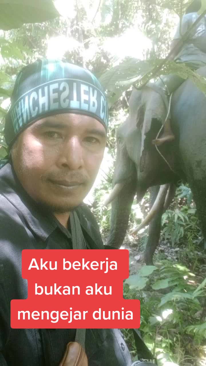 @musganteng