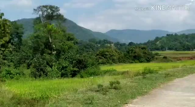 @shashikmrsngh