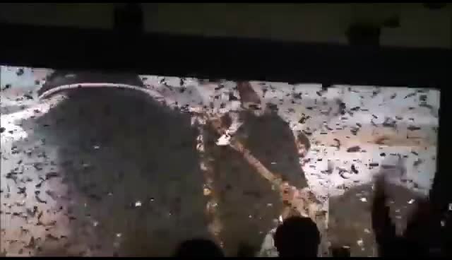 @jhonny fan of pspk