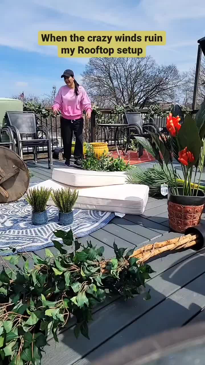 @chezpiddu