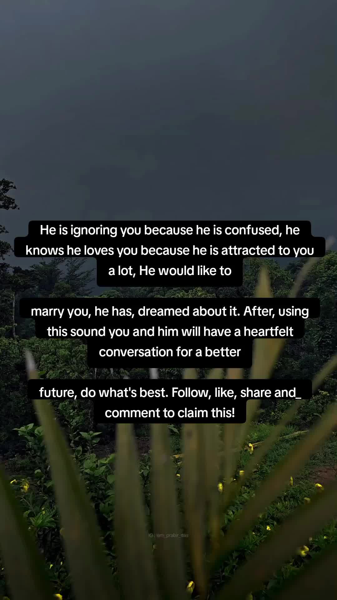 @wisdom whispers