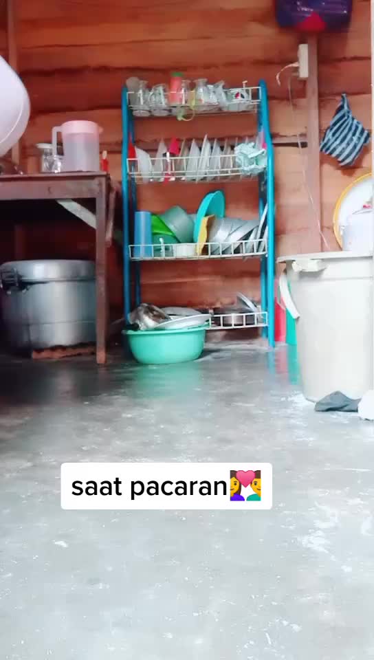 @mega sari