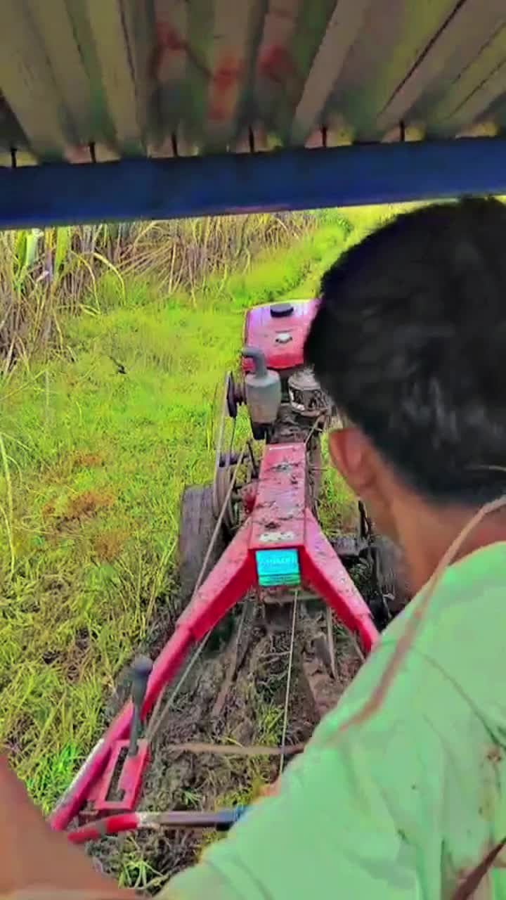 @saipulipul969