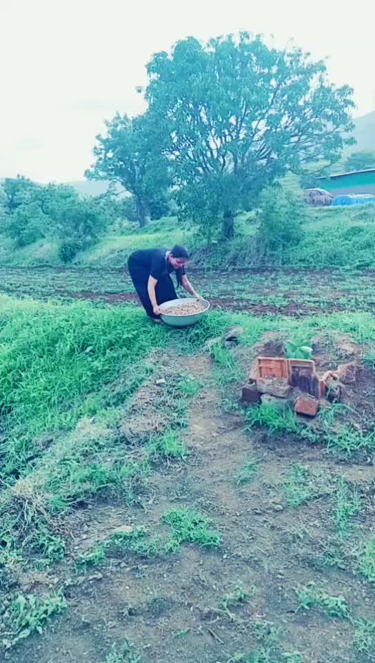 @sakpal0529