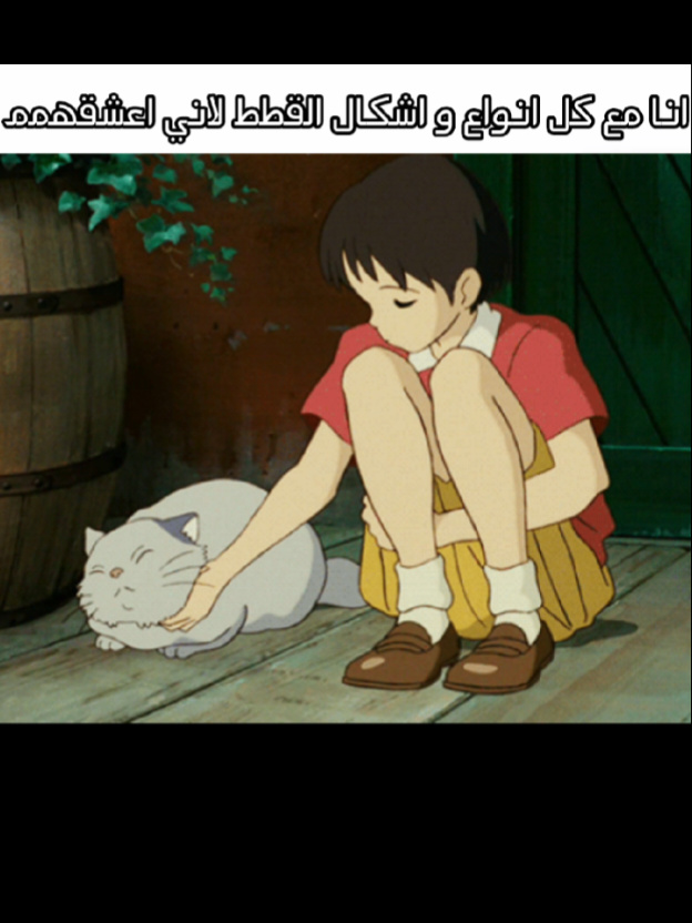 @َِْٖٓՏ𝑎𝘮𝚊シ︎