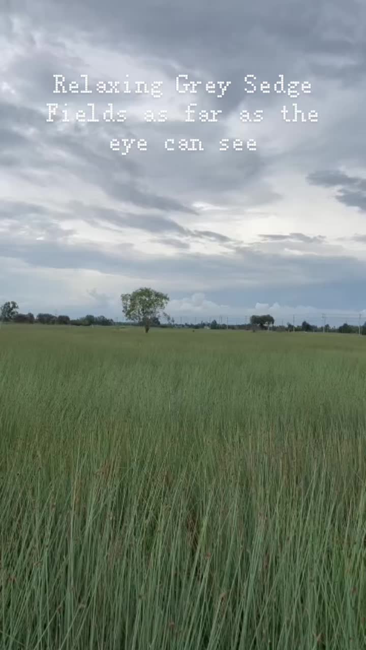 @Strawlific
