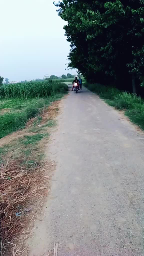 @Ankit Gujjar