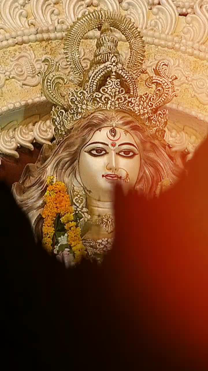 @single sumit ji