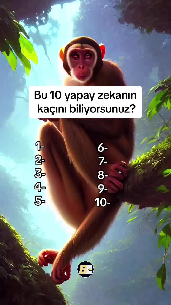 @Bağımsız Cüzdan