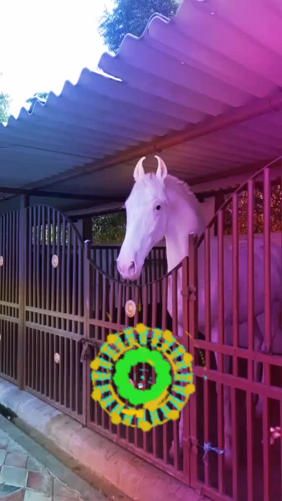 @🏇Sonu rider🏇