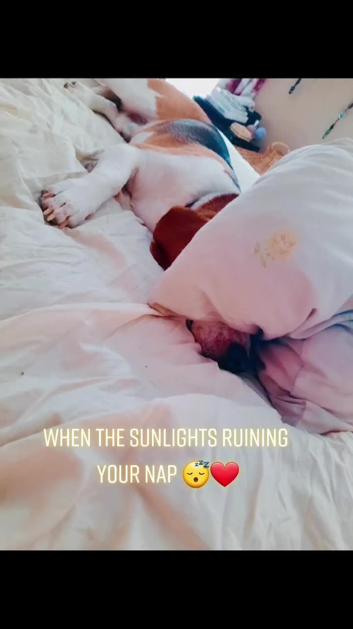 @Laura