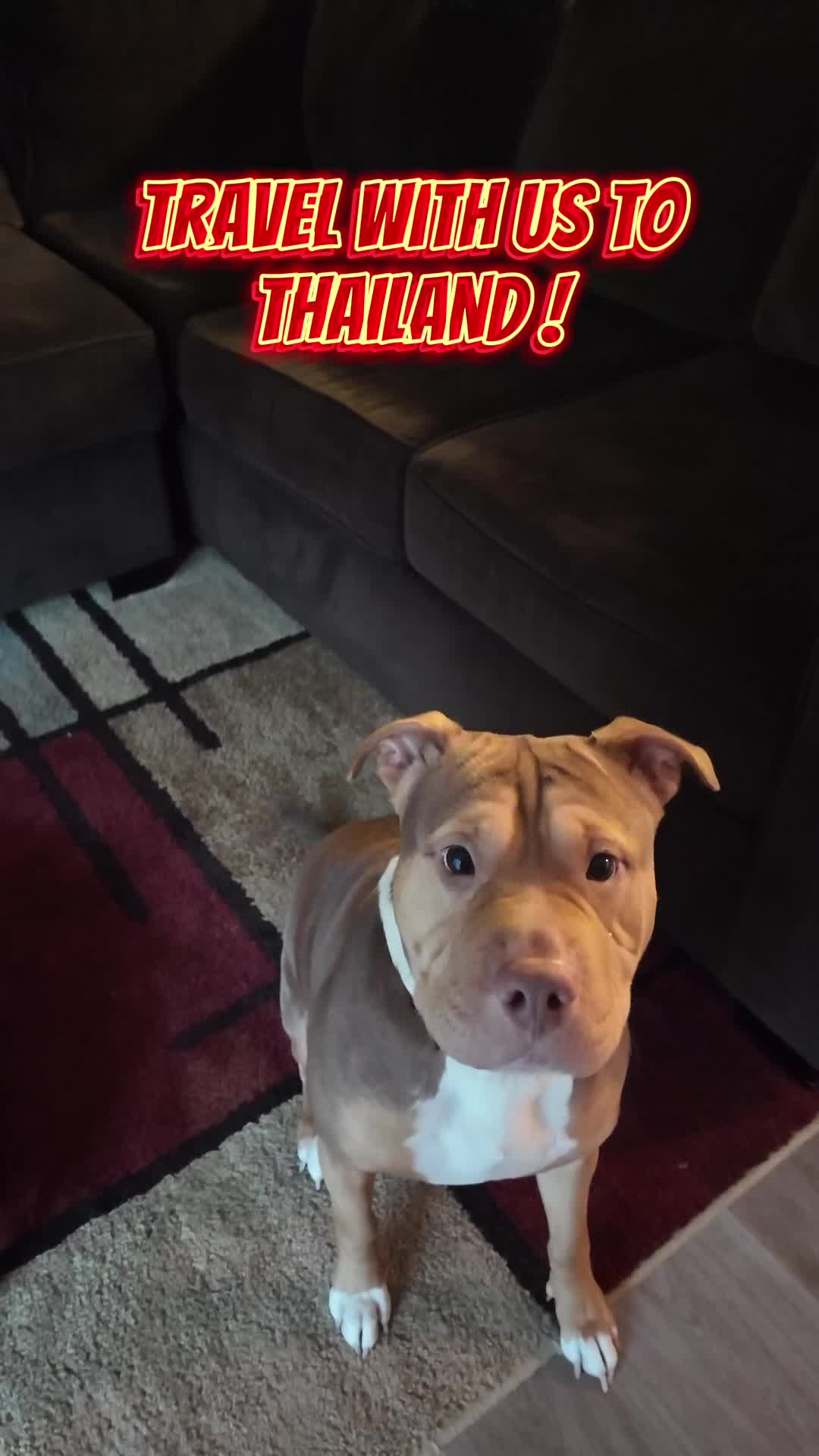 @RSO Mani