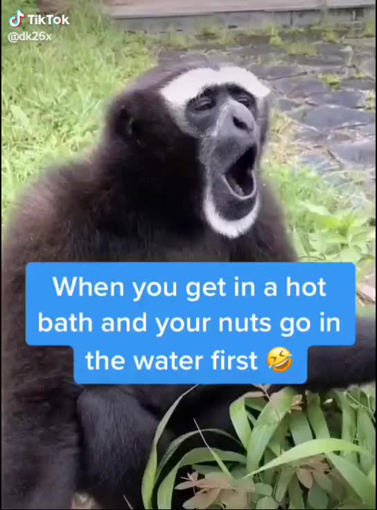 @SuperMemeMan