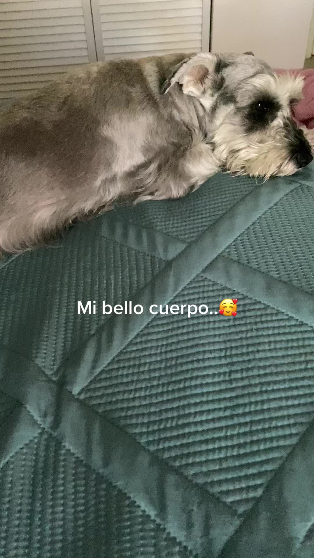 @Maya1611