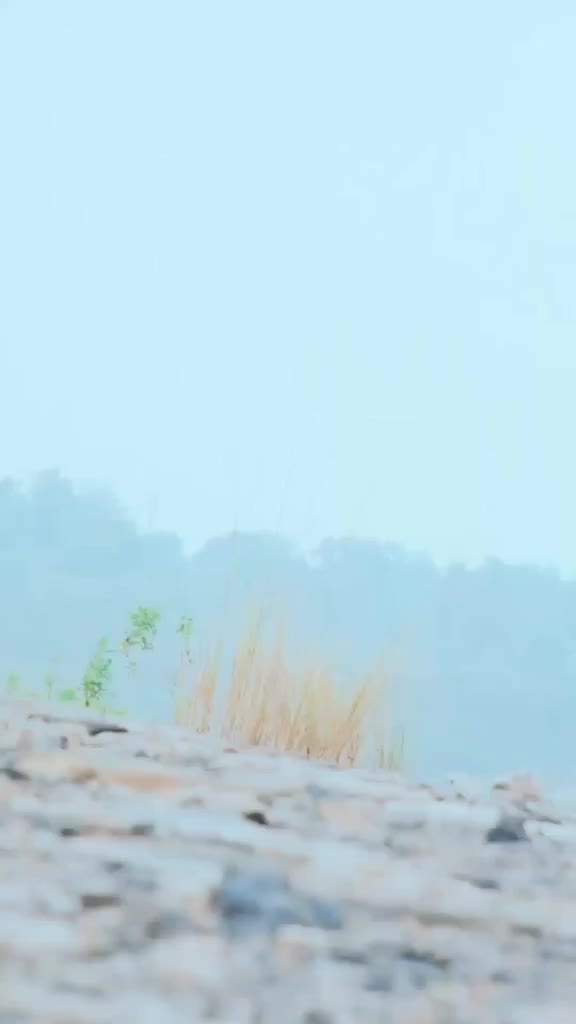 @🔥Sunny Bhai🔥