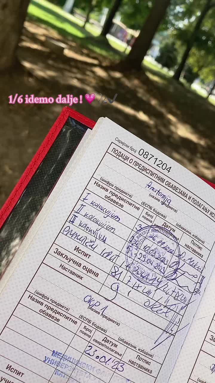 @Michii__