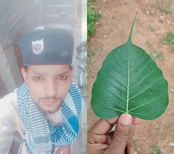 @shadap khan648
