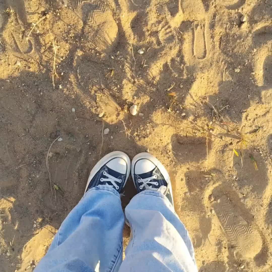 @мяв!?