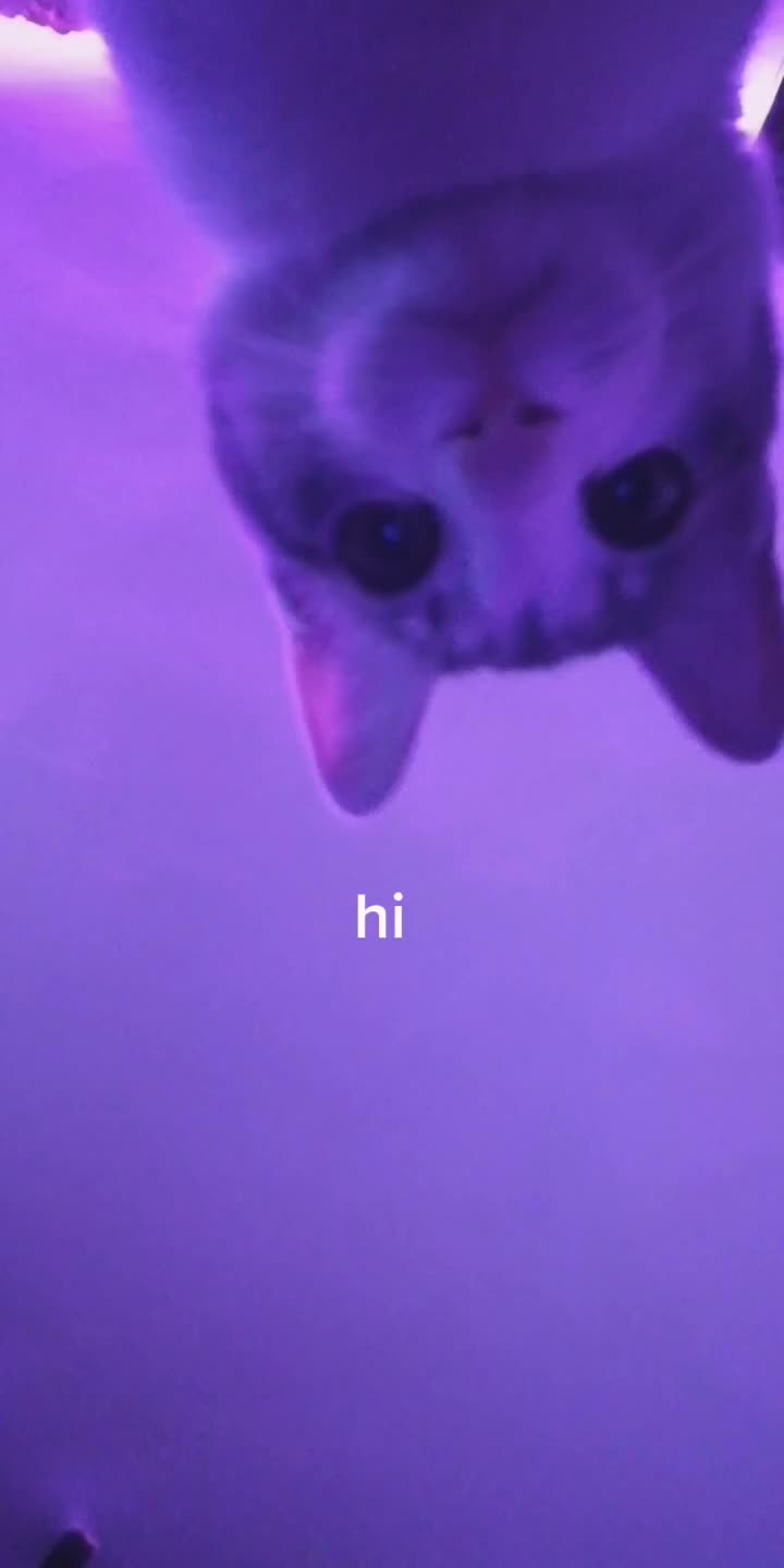 @gnarz
