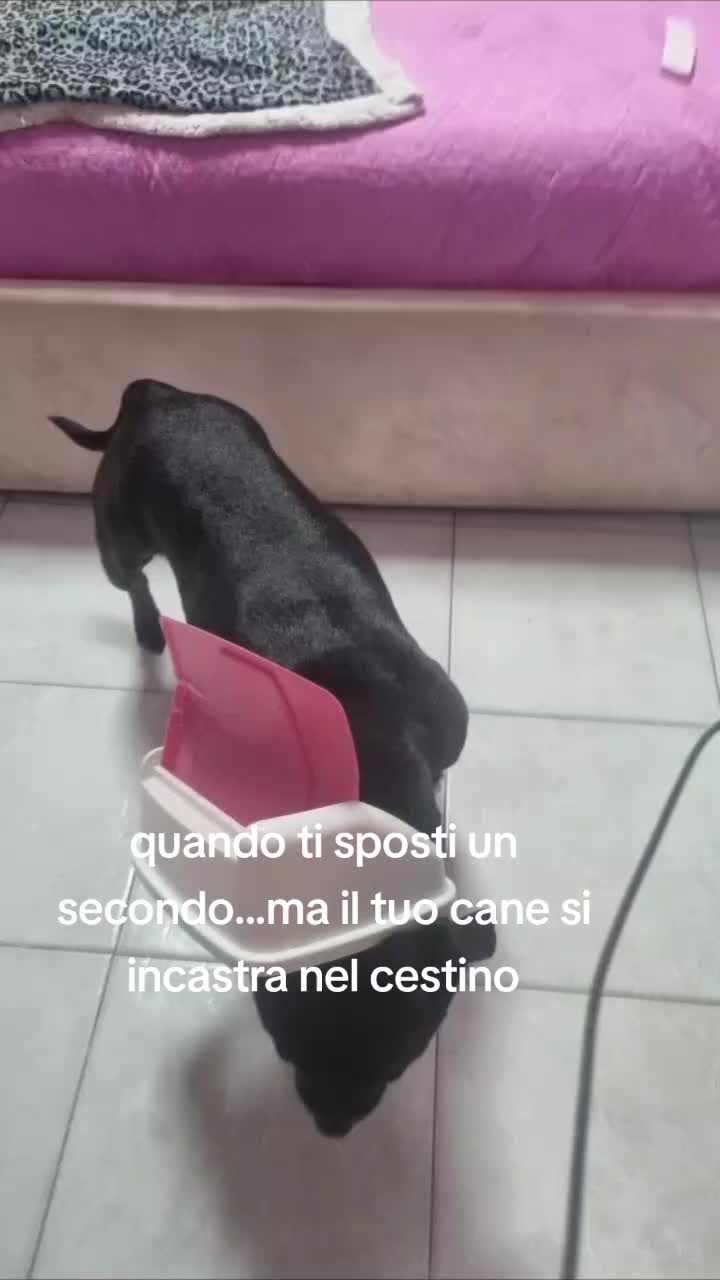 @Federica