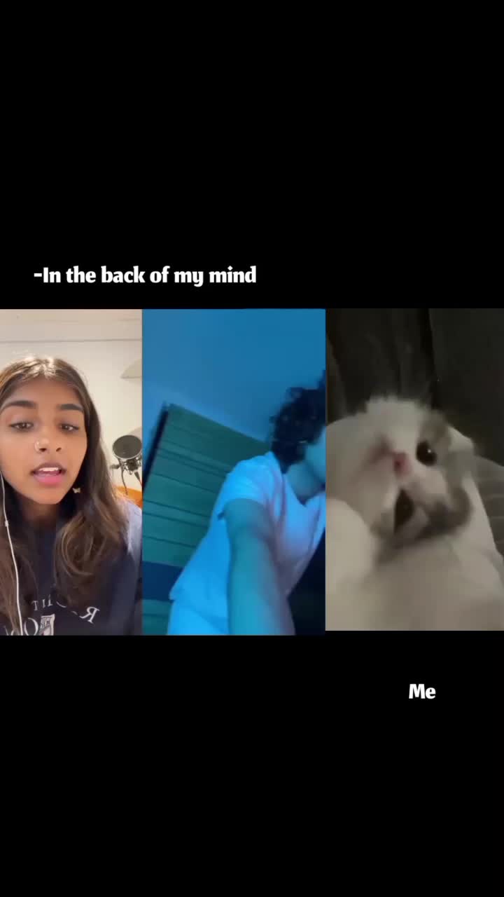 @itsanii