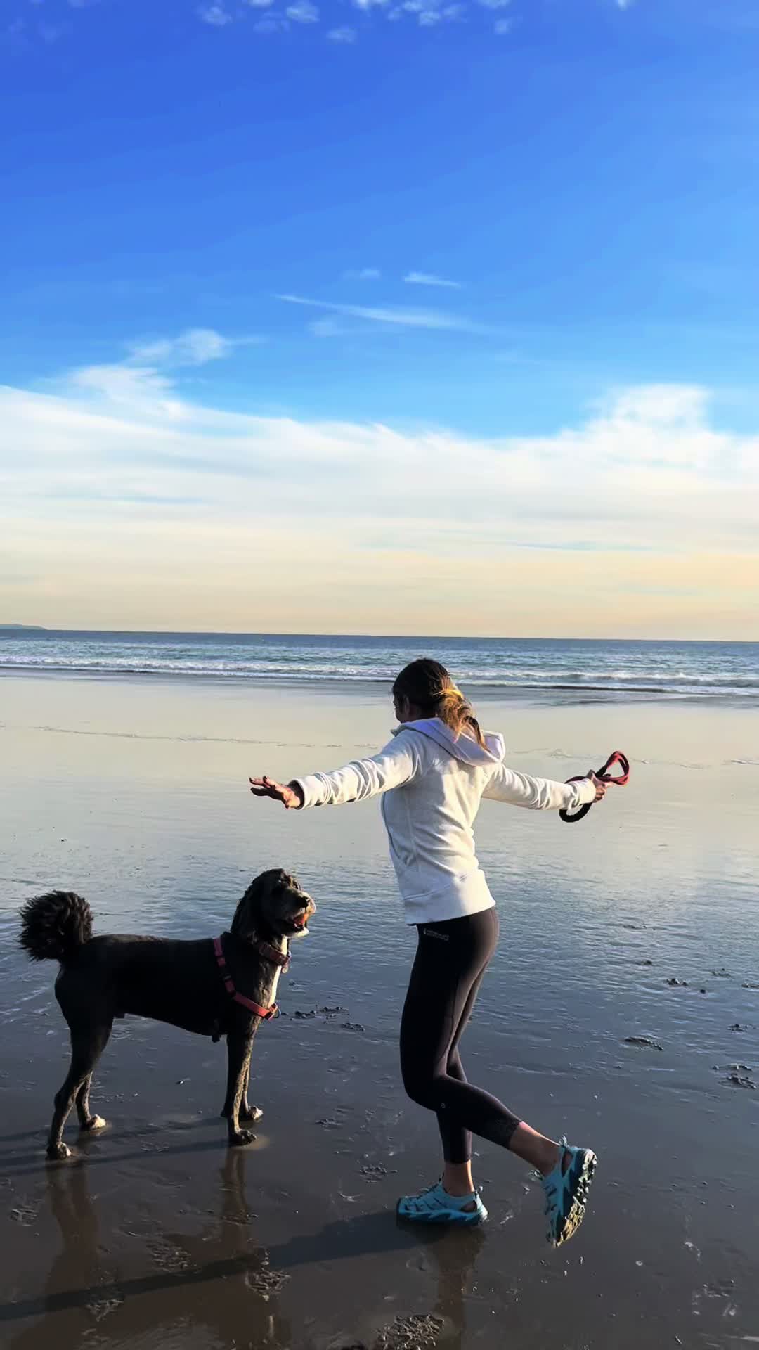 @Bernedoodlemama