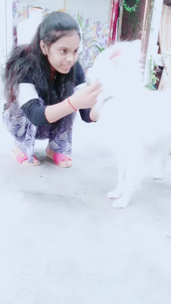 @soni