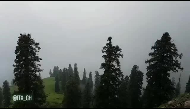 @Itx_ch