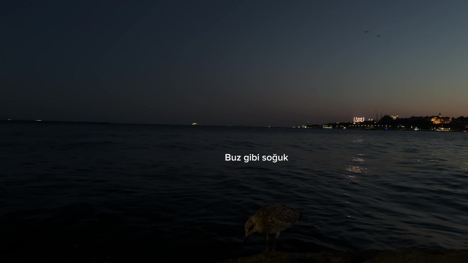 @Ayaz D.