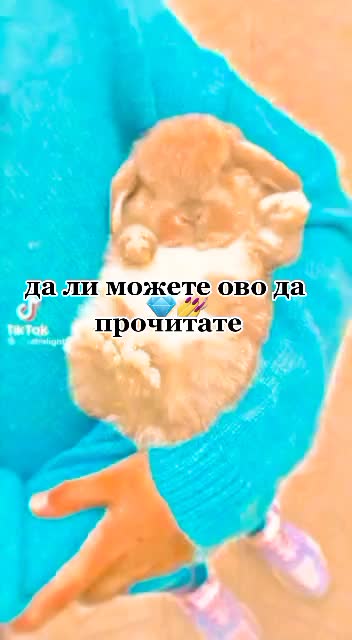 @Andjela 😻