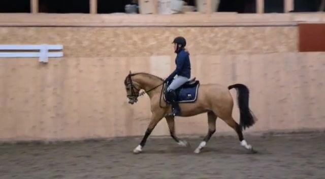 @Horses♡