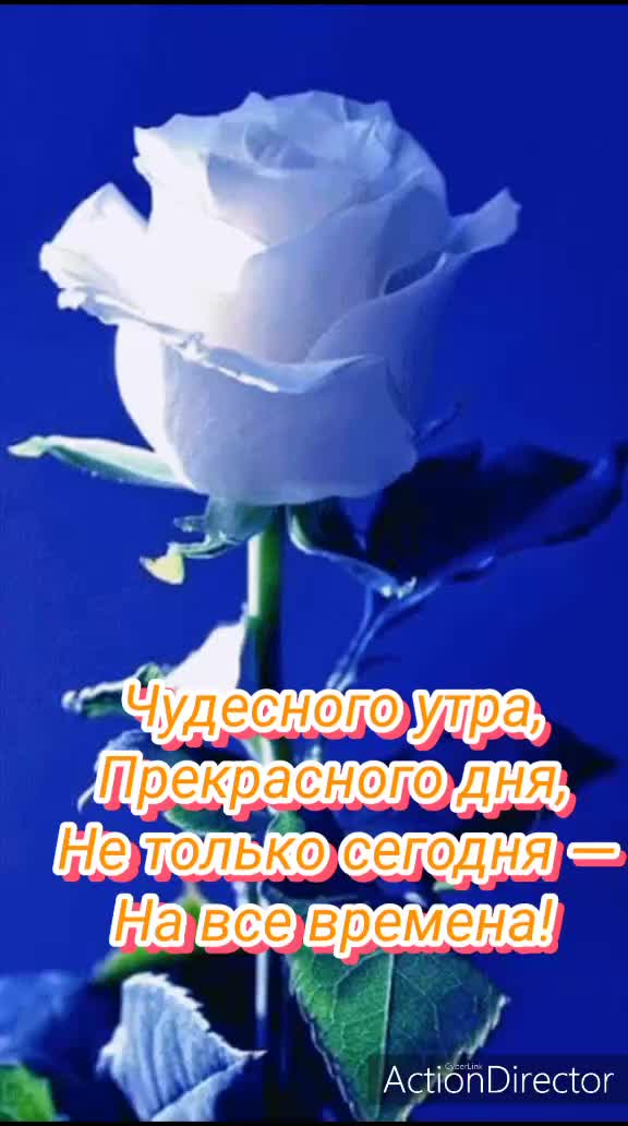 @Таня