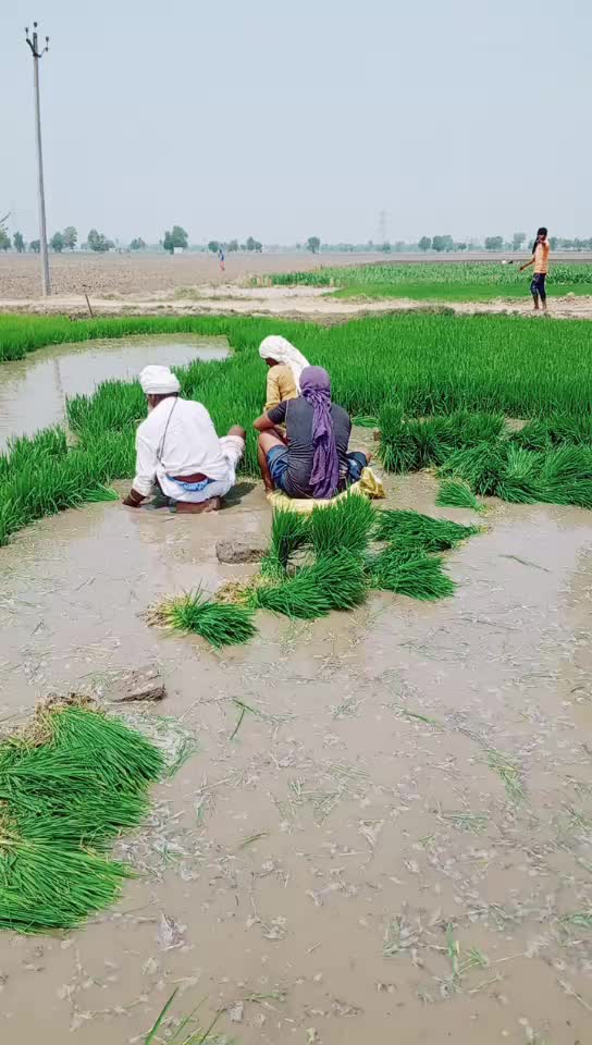@@karansaspali