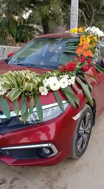 @राव Daksh👑👑