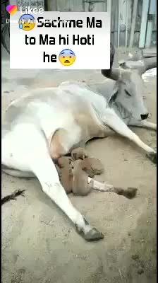 @V&icirc;v&acirc;&ntilde;  Th@kur__V&icirc;v&uuml;