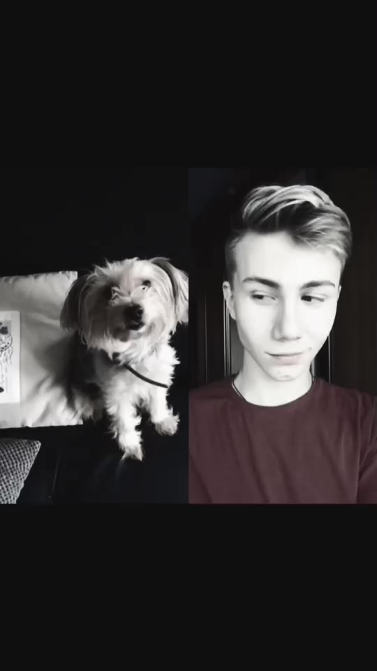 @🐾l&iuml;st&atilde;&iuml;l🐾