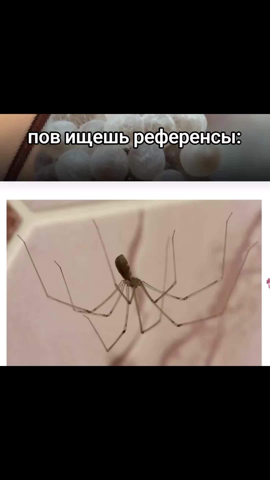 @Ксю