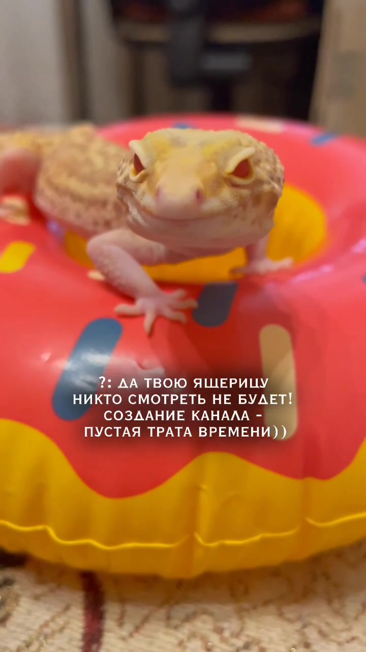 @Эублефар Мия💗