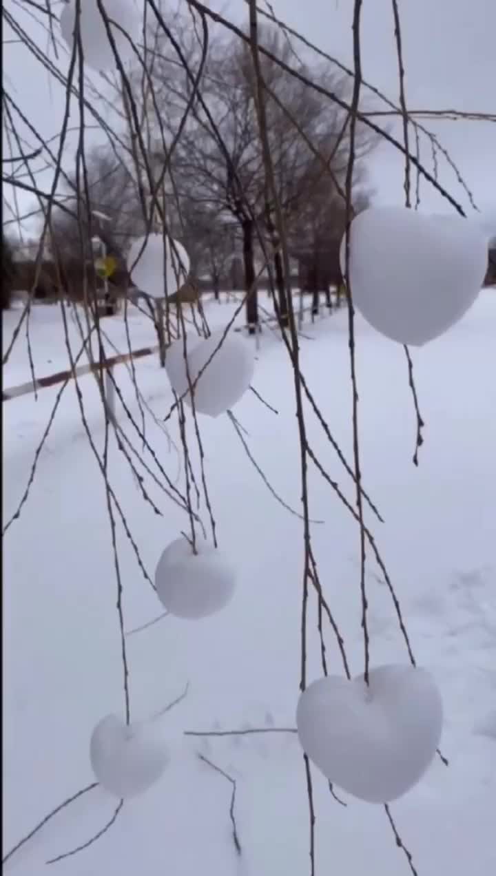 @rouk6230