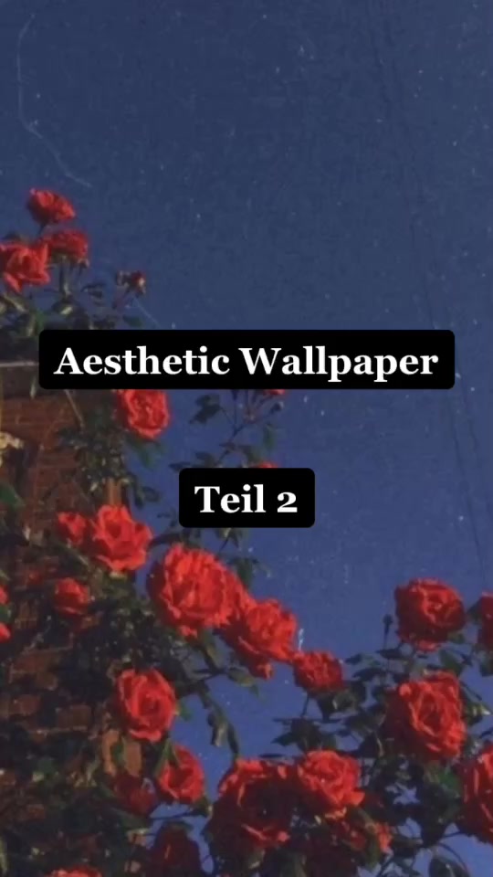 @PROFILBILDER💎