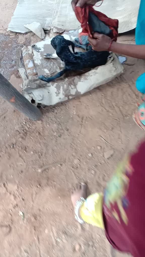 @Munagala usha Munaga