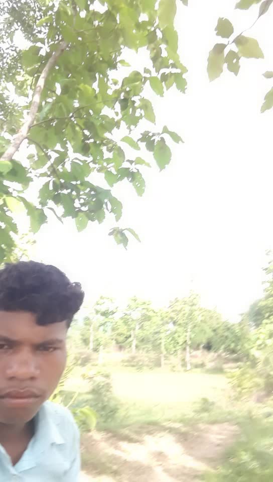 @Bhole Majhi