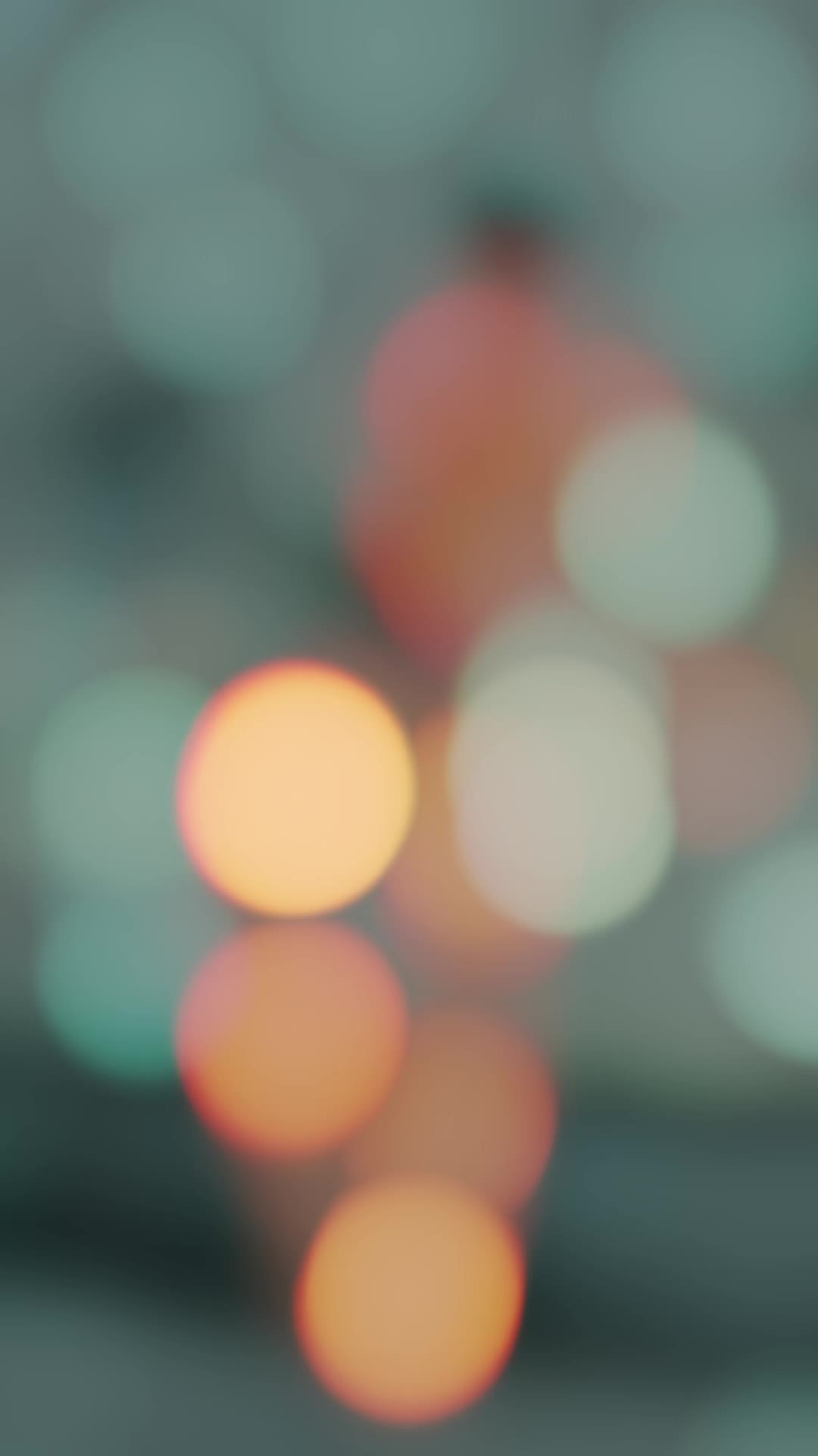 @𝐛𝐞𝐥𝐥_𝟐𝟎𝟎𝟑