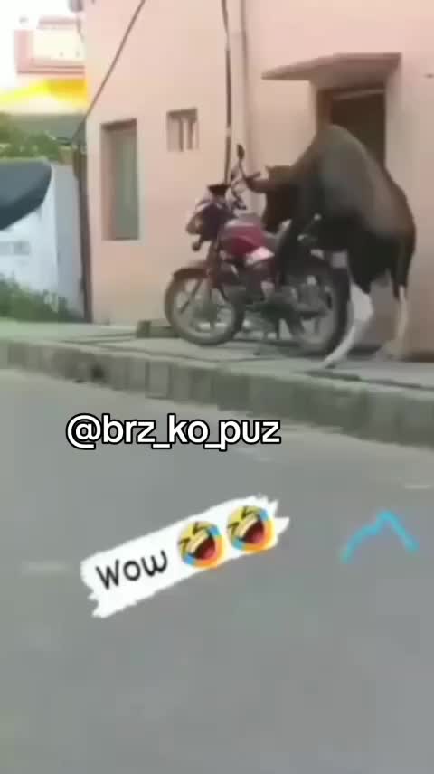 @LUDILO 24 H