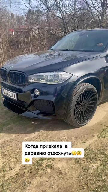 @кот бумер
