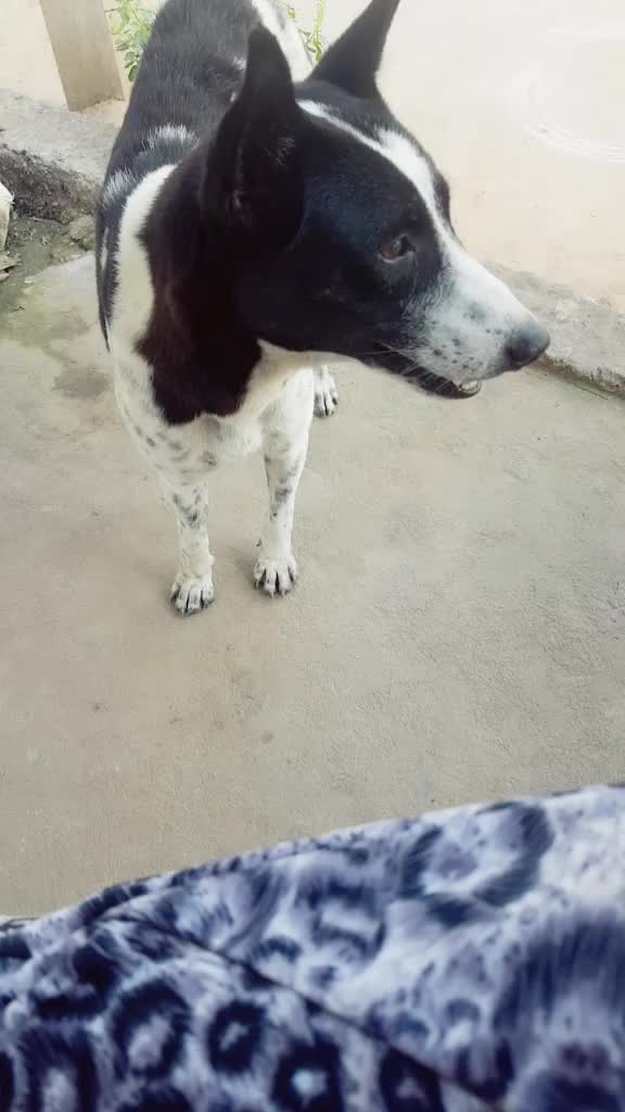 @❤Sandy❤
