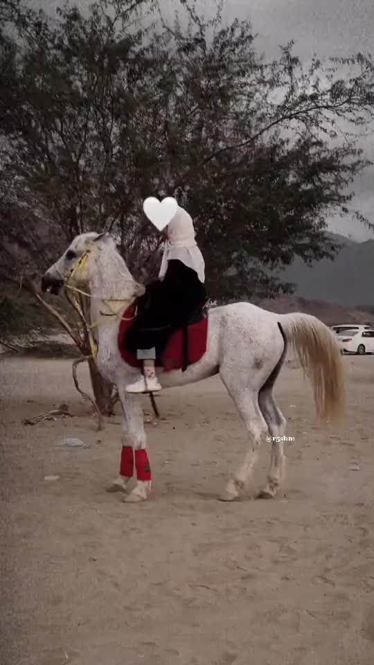 @يوميات فتاة جزائرية