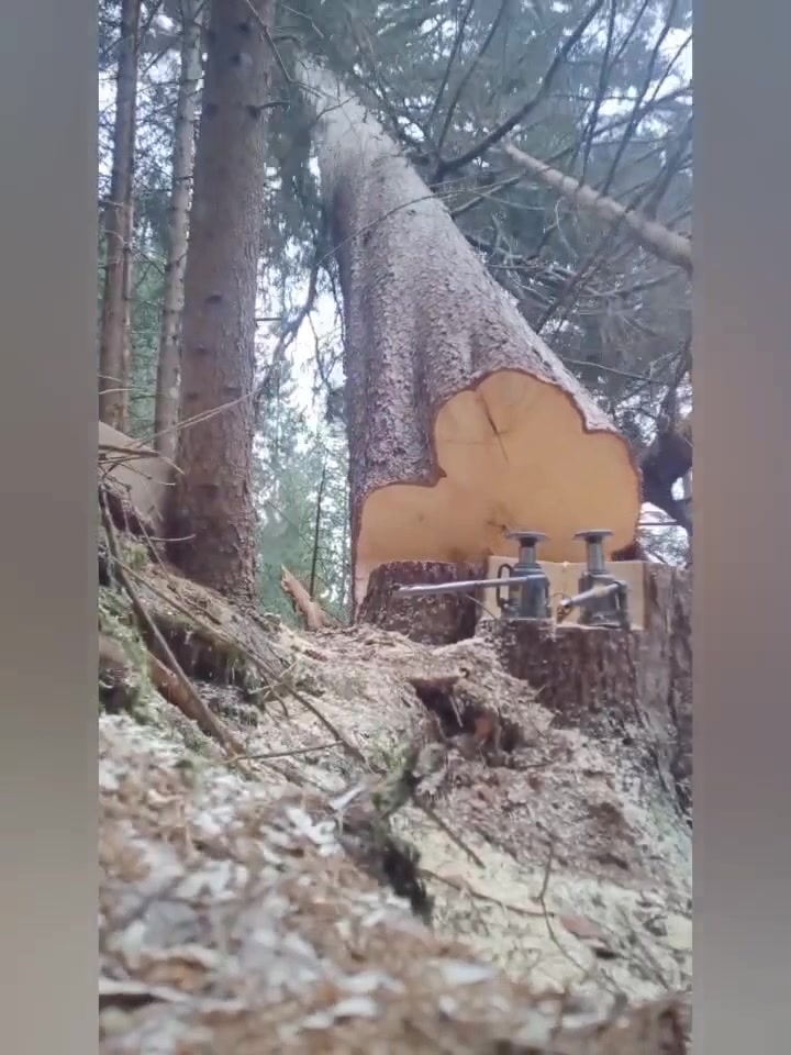 @cäp. Nänduu