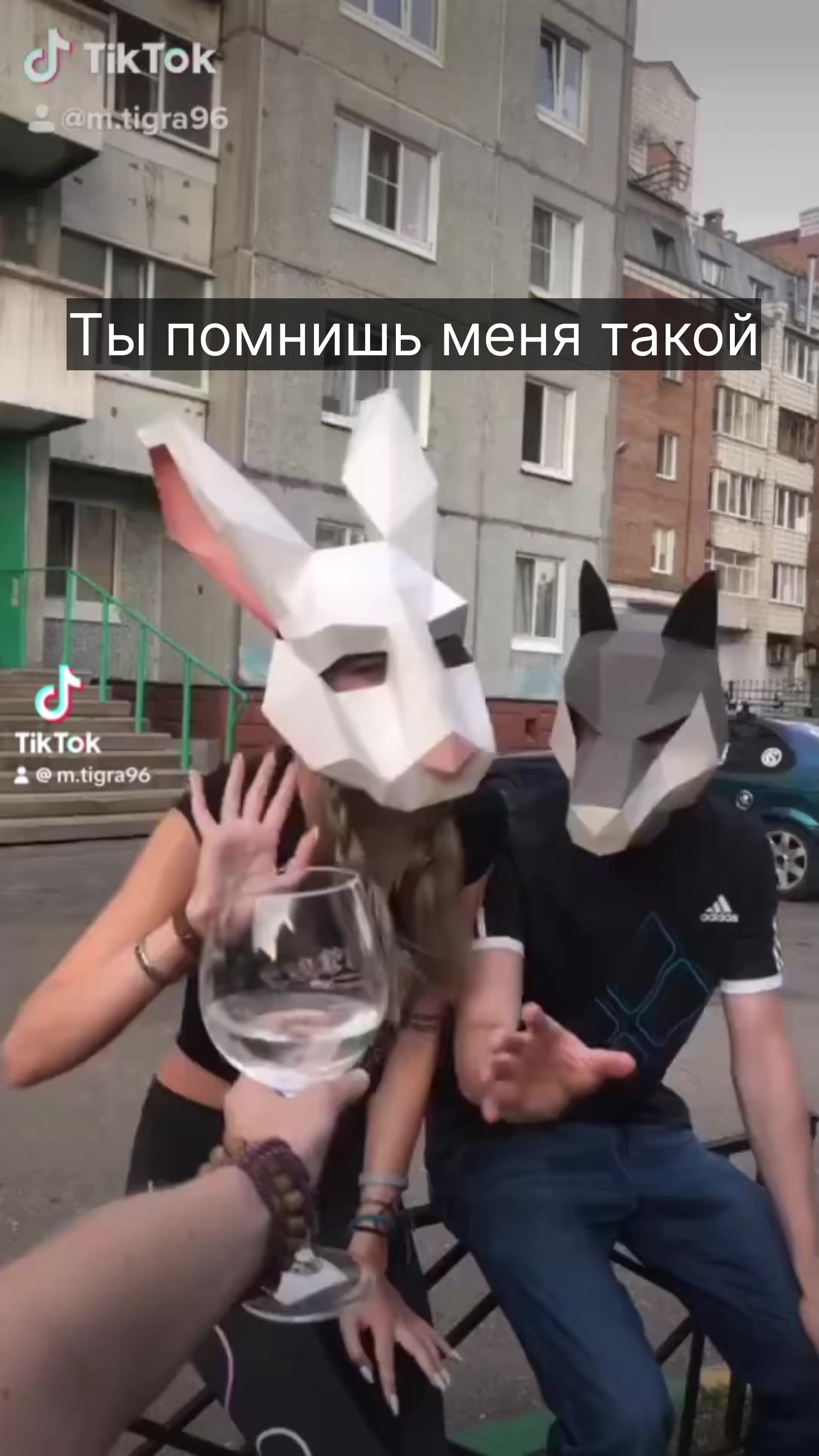 @m.tigra96